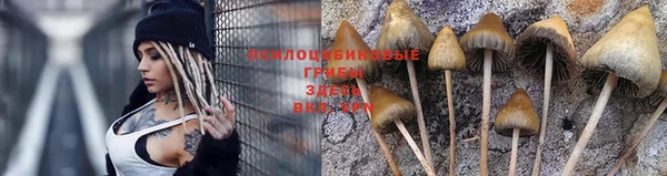 мет Новозыбков