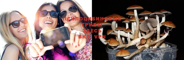 альфа пвп Нягань