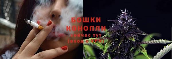 ГАЛЛЮЦИНОГЕННЫЕ ГРИБЫ Нязепетровск