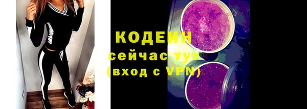 мет Новозыбков