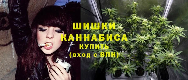 СК Няндома