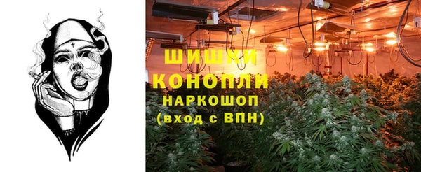 ГАЛЛЮЦИНОГЕННЫЕ ГРИБЫ Нязепетровск