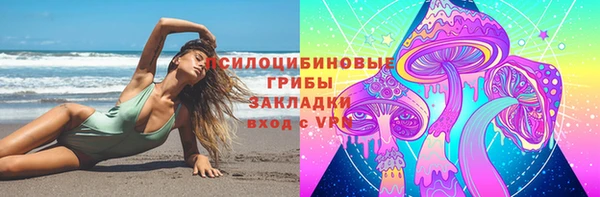 мет Новозыбков